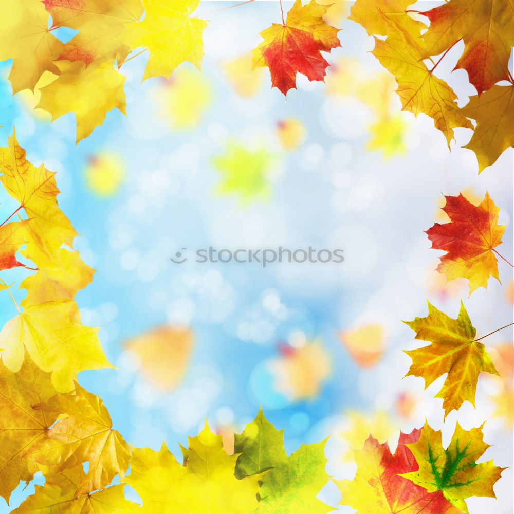 Similar – Autumn nature background with falling baun leaves