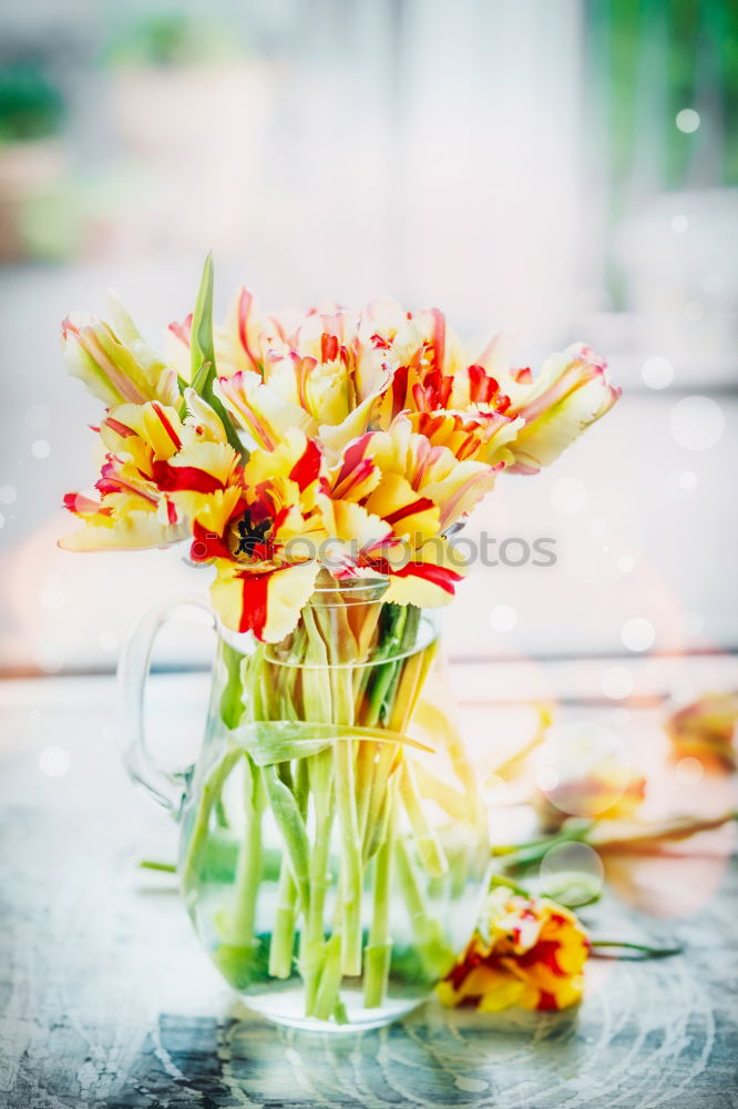 Similar – Image, Stock Photo Vegetable salad in a jar.