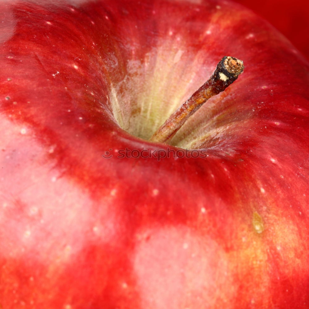 Similar – Apple on a branch Fruit