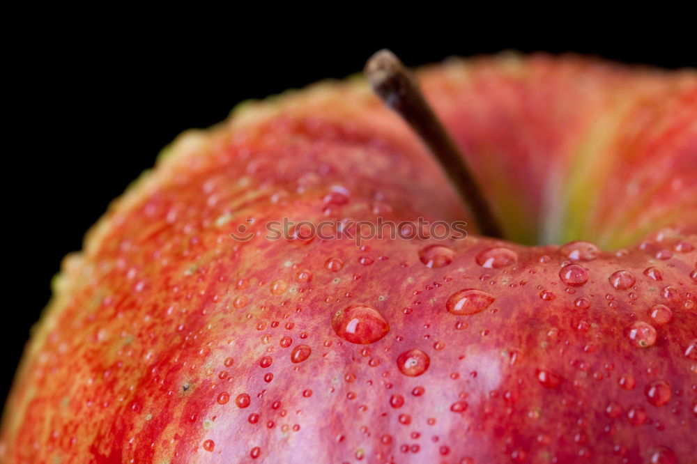 Similar – Apple on a branch Fruit