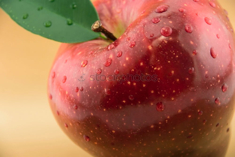 Similar – Apple on a branch Fruit