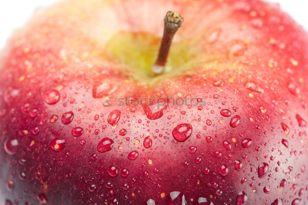 Similar – Image, Stock Photo CHAMANSÜLZ | apples Food