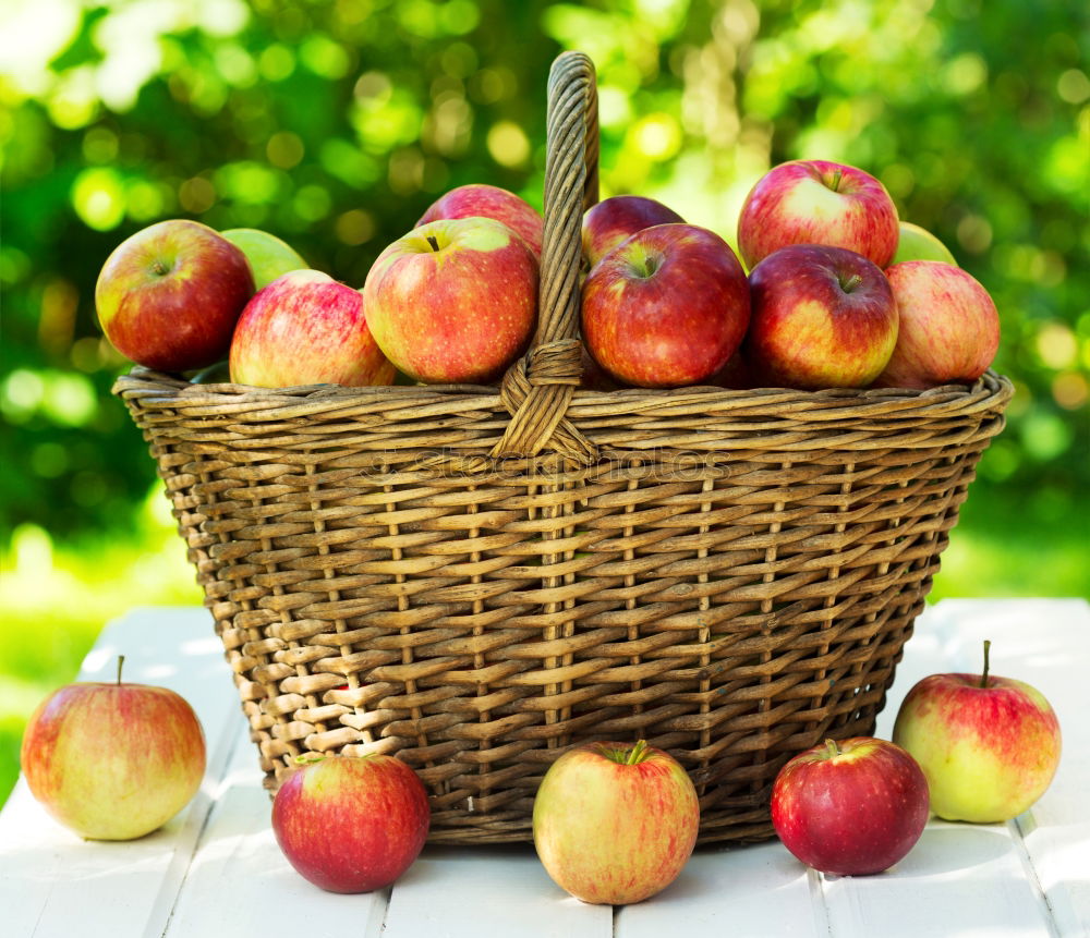 Similar – Image, Stock Photo freshly picked apple with stalk and leaves lies in the wet grass, in the background a wicker basket with many apples