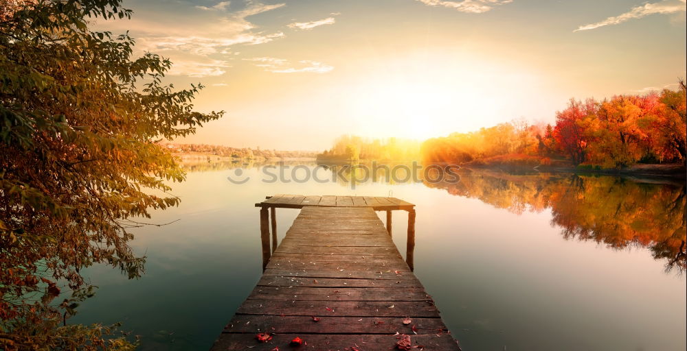 Similar – Südsee Umwelt Natur