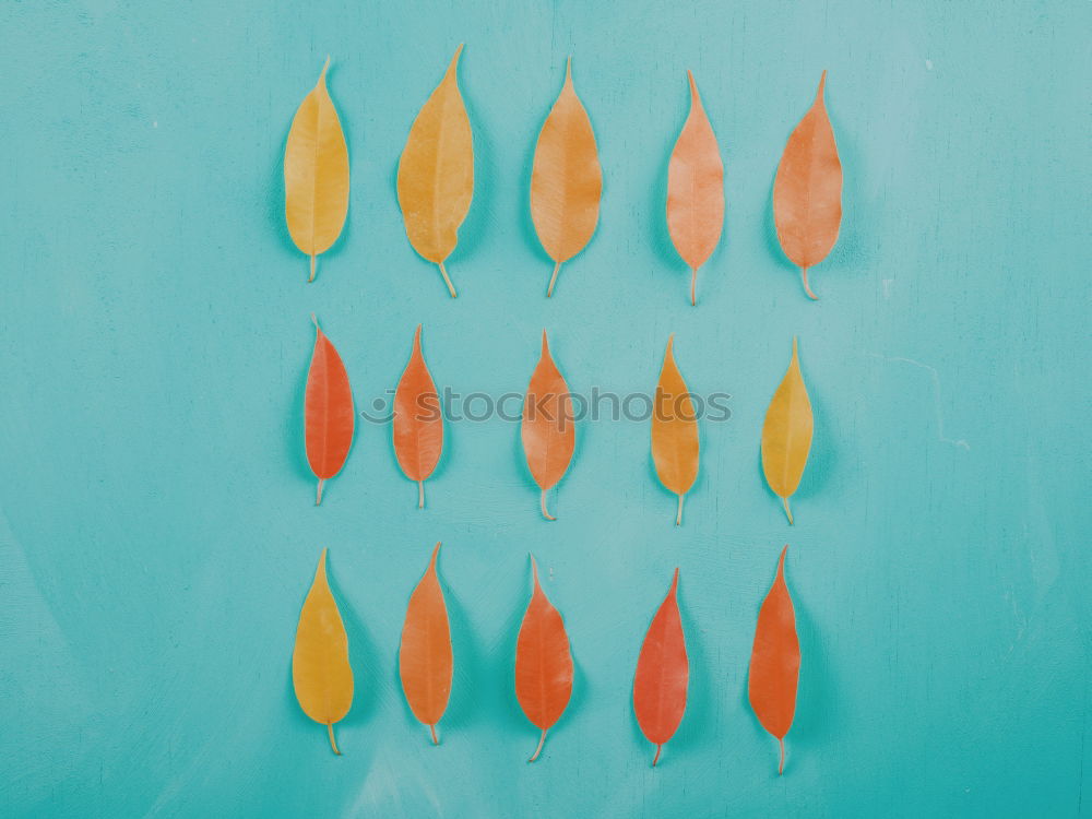 Similar – Yellow Autumn Leaves On Turquoise Wood Table