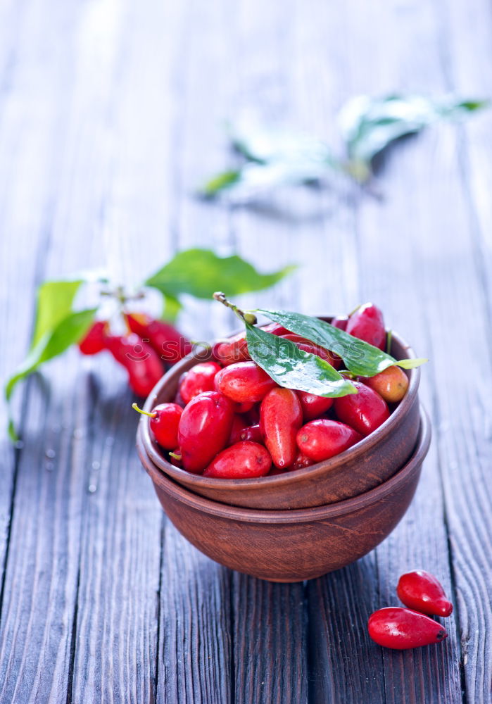 Similar – Berries of cranberries for tea