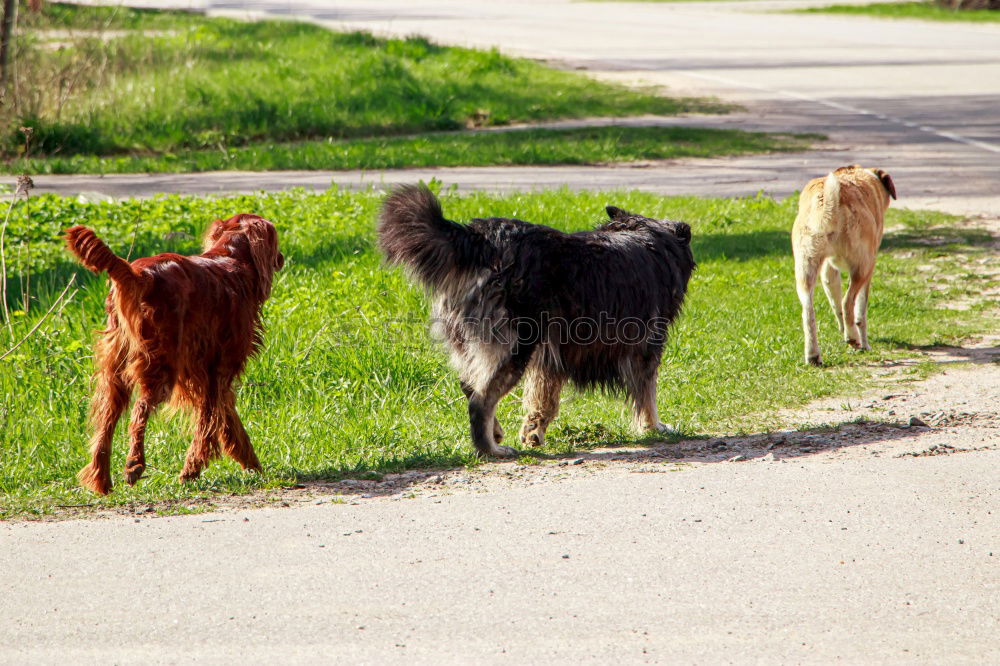 Similar – Foto Bild Spaziergang