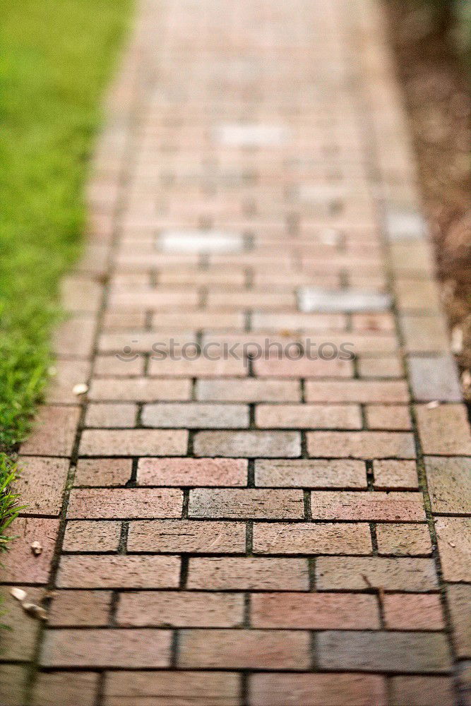 Similar – Image, Stock Photo round thing Bushes Green