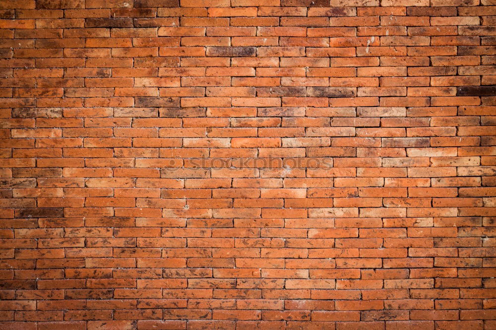 Similar – Image, Stock Photo You’re all right. You’re all right.