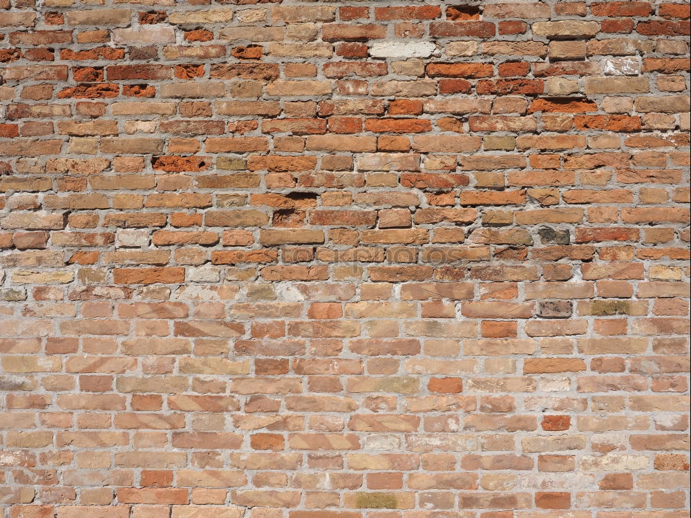 Similar – Image, Stock Photo another brick wall