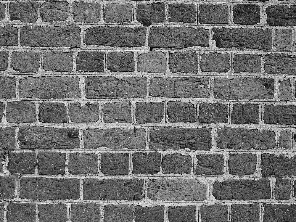 Similar – brick wall Brick