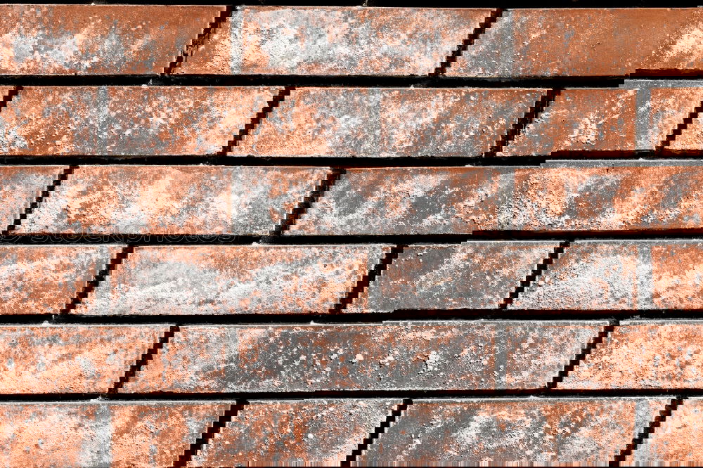 Similar – Image, Stock Photo breakthrough Stone Brick