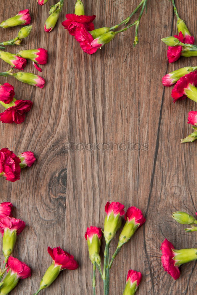 Similar – Image, Stock Photo Holding flowers with hands