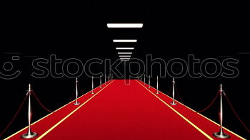 Similar – Image, Stock Photo Close up red carpet over grey concrete staircase