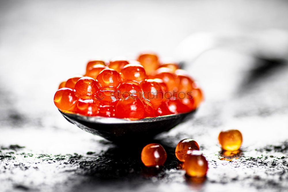 Similar – Probably the smallest tomatoes in the world