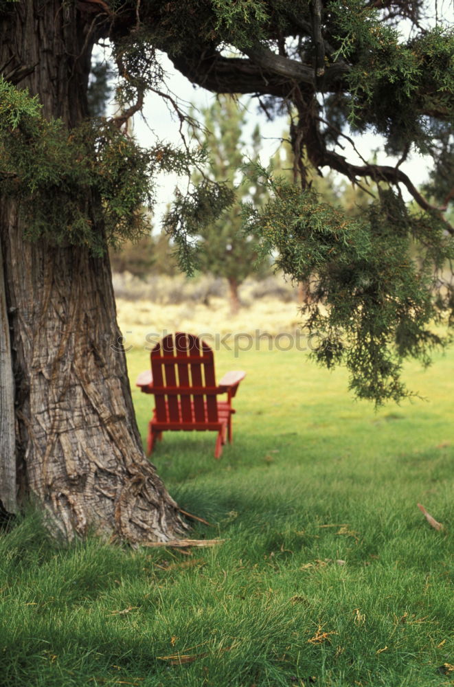 Similar – between them Fence