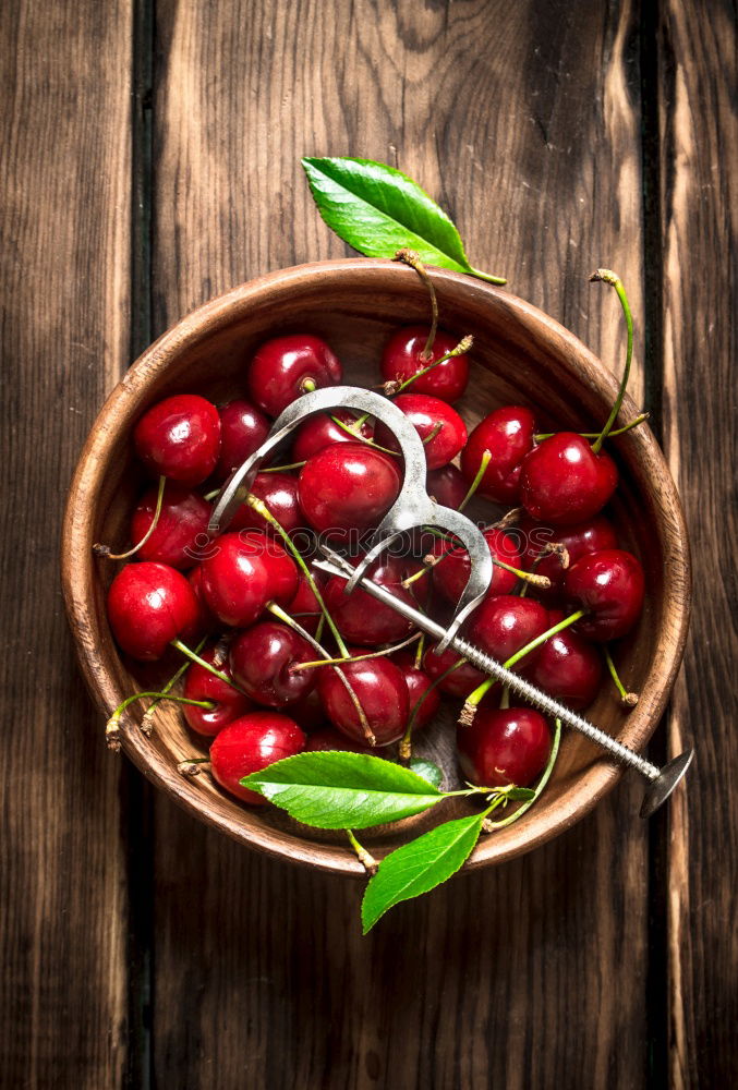Similar – Image, Stock Photo Radish on dark background