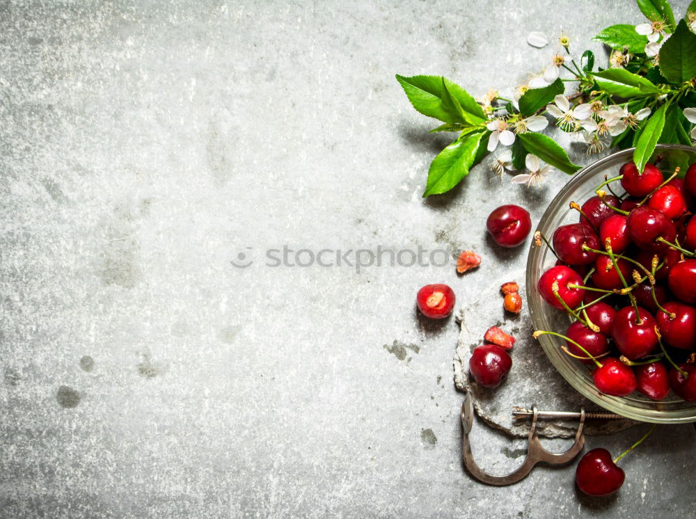 Similar – Image, Stock Photo Fresh currants in a cup