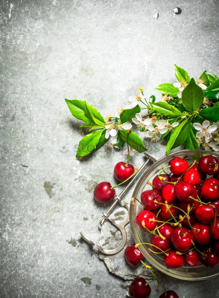 Similar – Image, Stock Photo Fresh currants in a cup