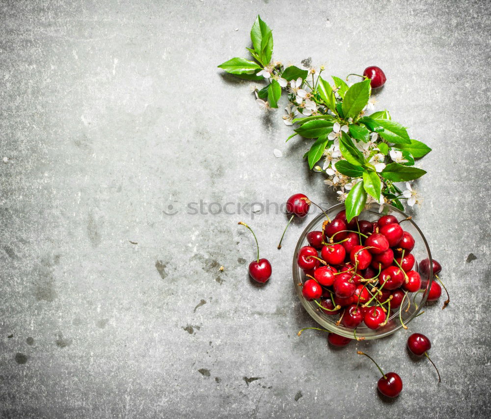 Image, Stock Photo Fresh currants in a cup