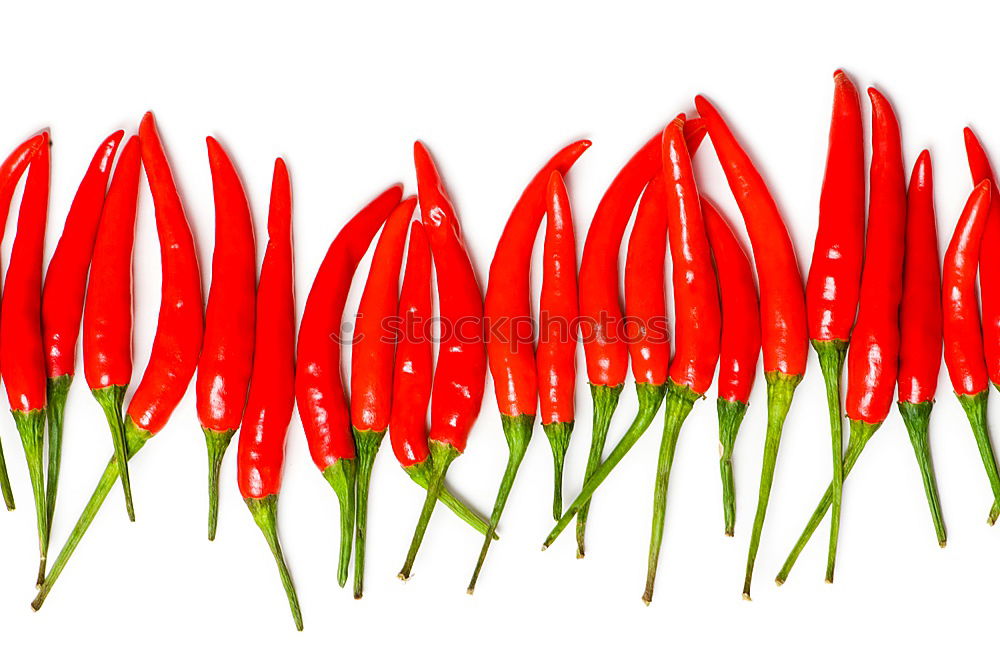 Similar – red flower of Billbergia