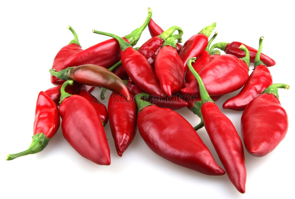 Similar – Image, Stock Photo Sheaaaaarf Chili