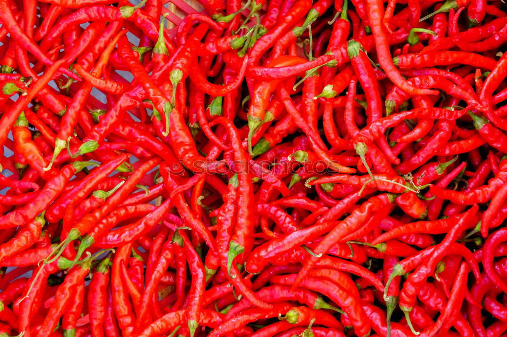 Similar – Sharp Healthy chilli Tangy