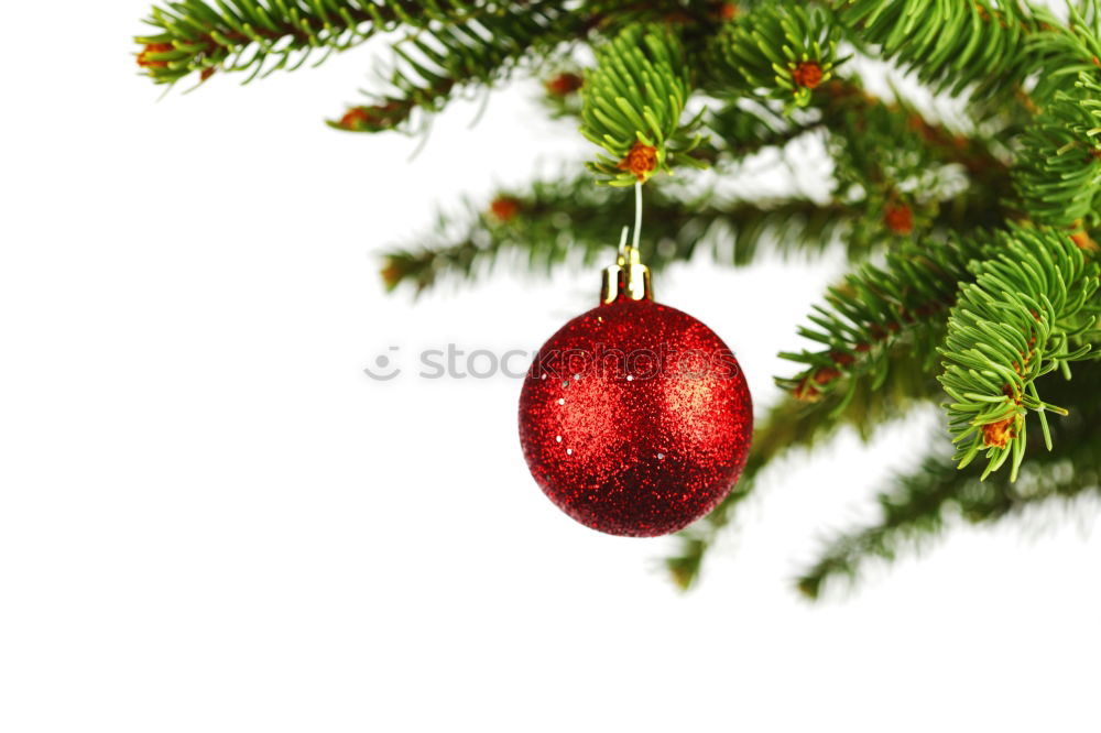 Similar – Oh Tannenbaum Natur Baum