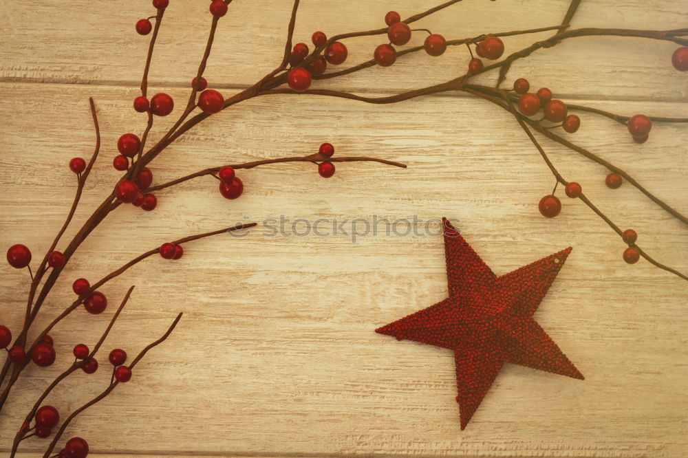 Similar – Red Christmas star with branch of berries