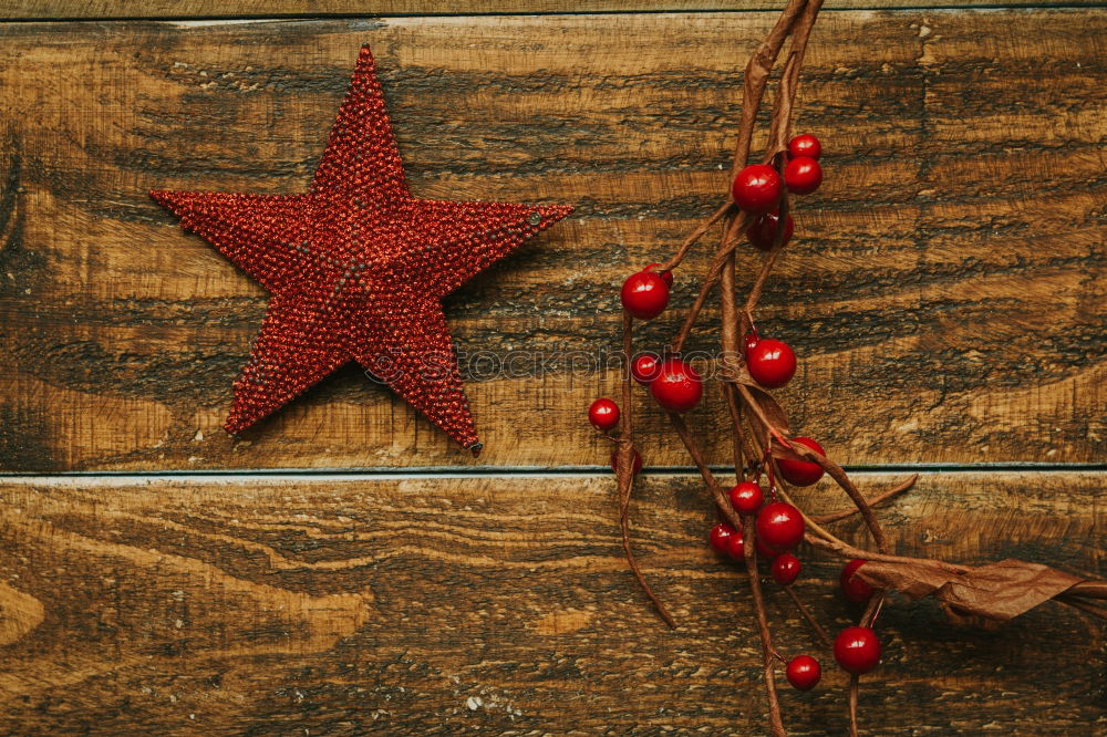 Similar – Red Christmas star with branch of berries