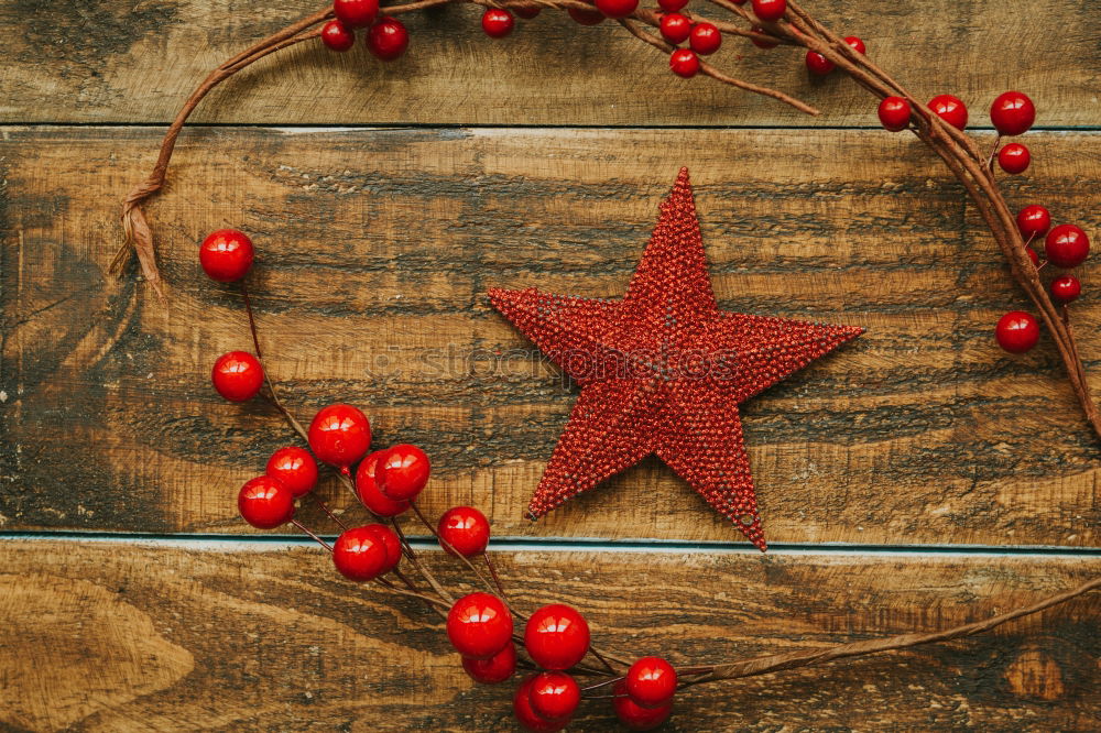 Red Christmas star with branch of berries