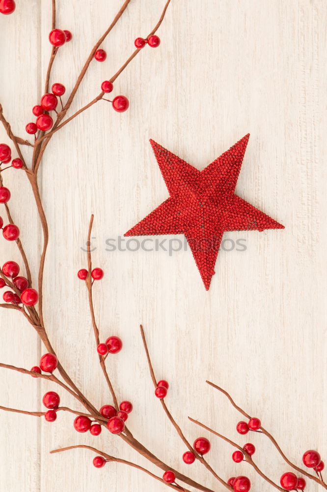 Similar – Red Christmas star with branch of berries