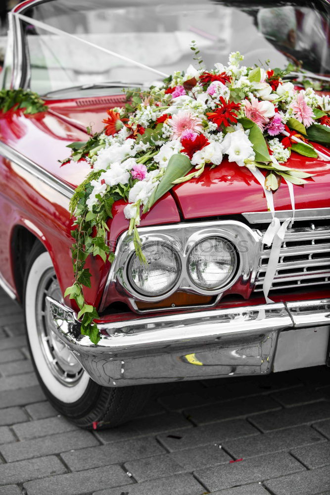 Similar – Wedding Cadillac