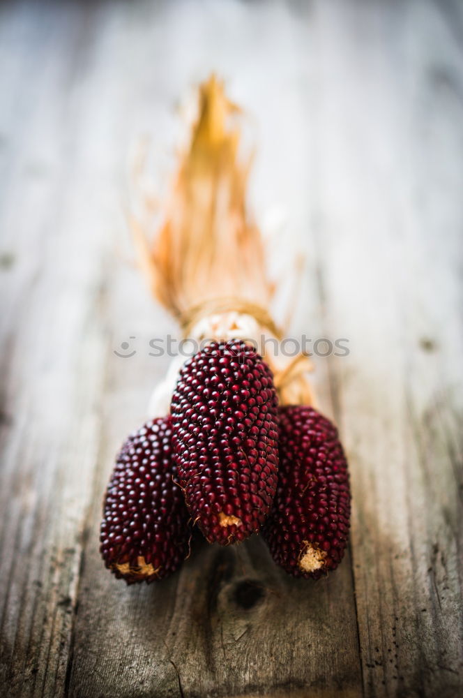 Similar – Image, Stock Photo Wood background with elderberries