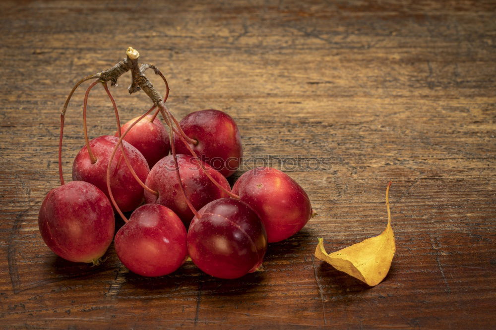 Similar – Image, Stock Photo Apple Bird Nest Food Fruit