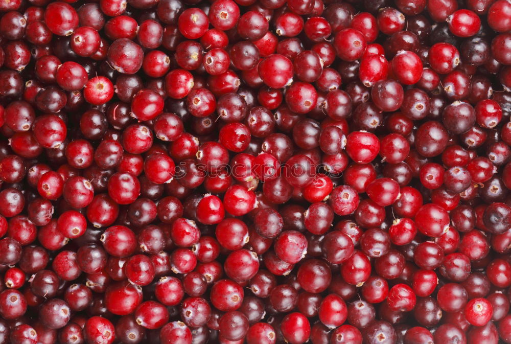 Similar – Cranberries in a bowl