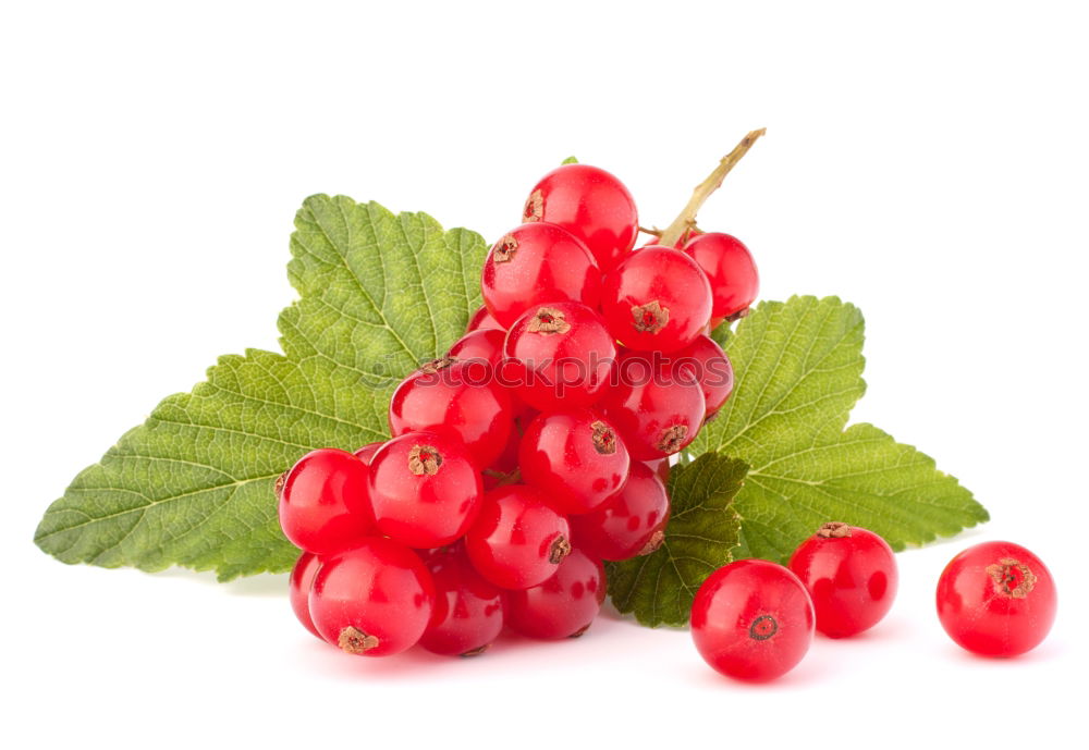 Similar – Image, Stock Photo currants Food Fruit Jam