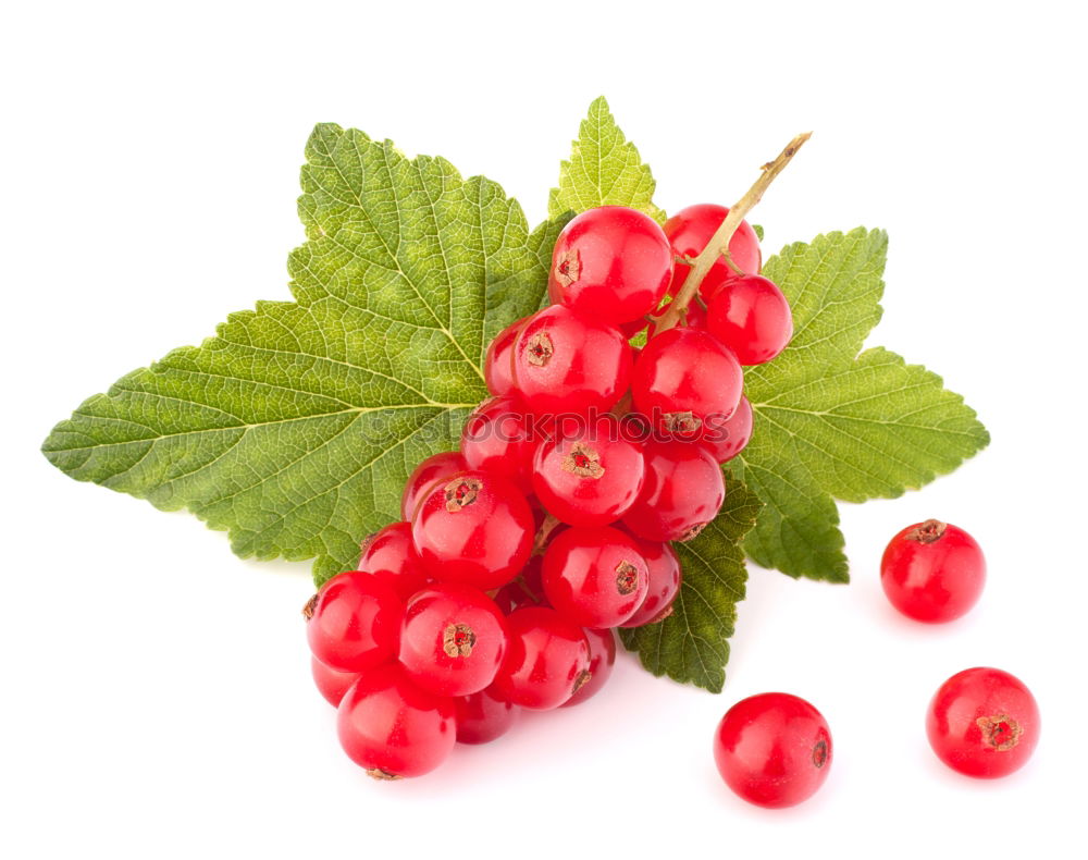 Similar – Image, Stock Photo Red Currant Fruit Dessert