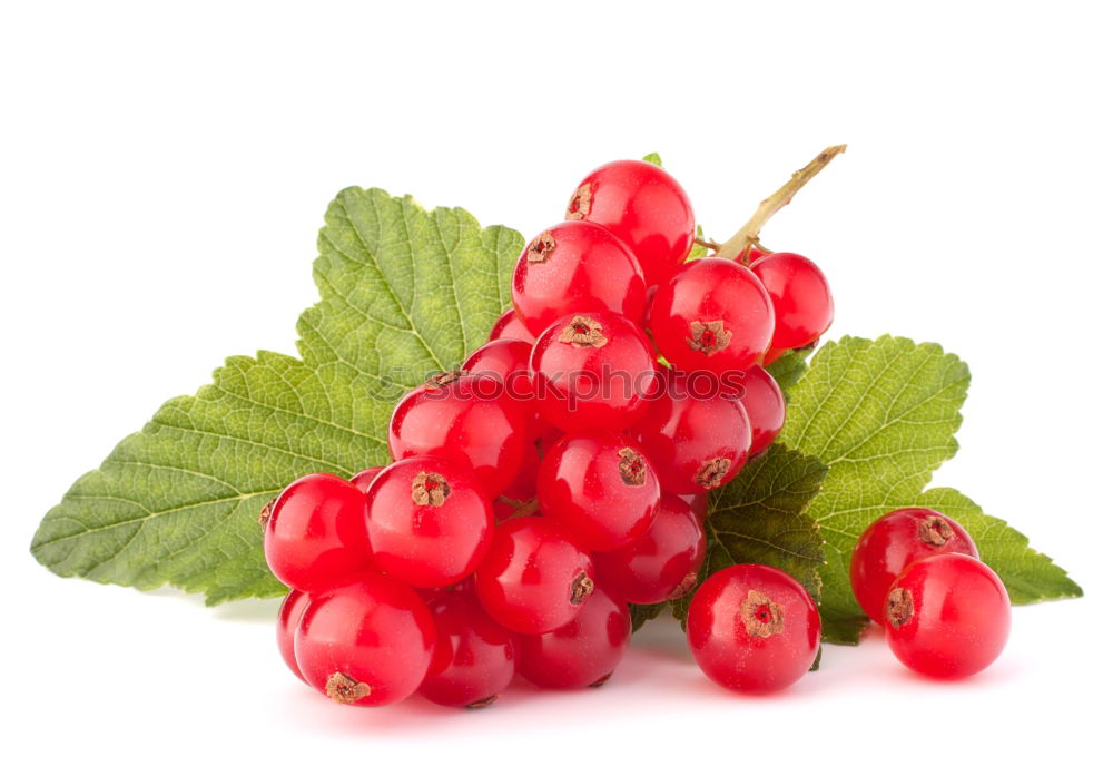 Similar – Image, Stock Photo Red Currant Fruit Dessert