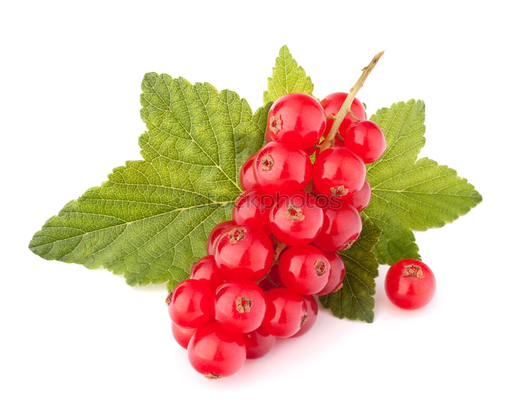 Similar – Image, Stock Photo currants Food Fruit Jam