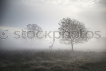 Similar – Image, Stock Photo übernBerg Meander Bicycle