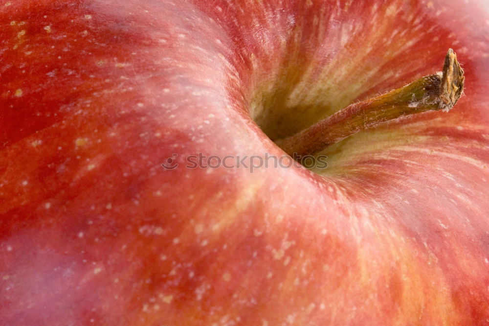 Similar – Apple on a branch Fruit