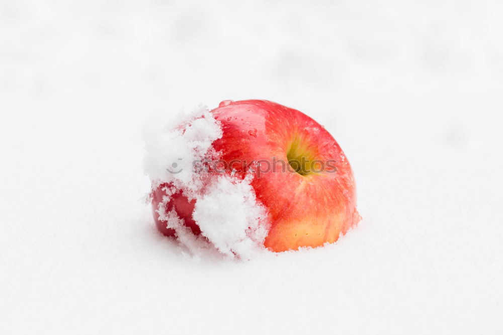 Similar – Cold ice. Fruit Nature