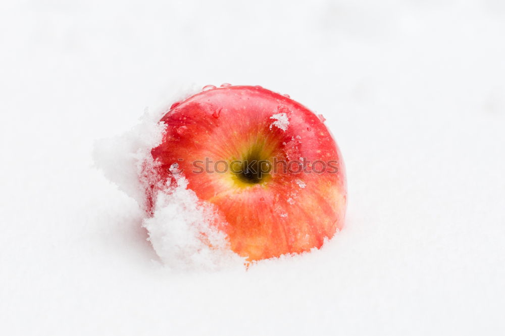 Cold ice. Fruit Nature