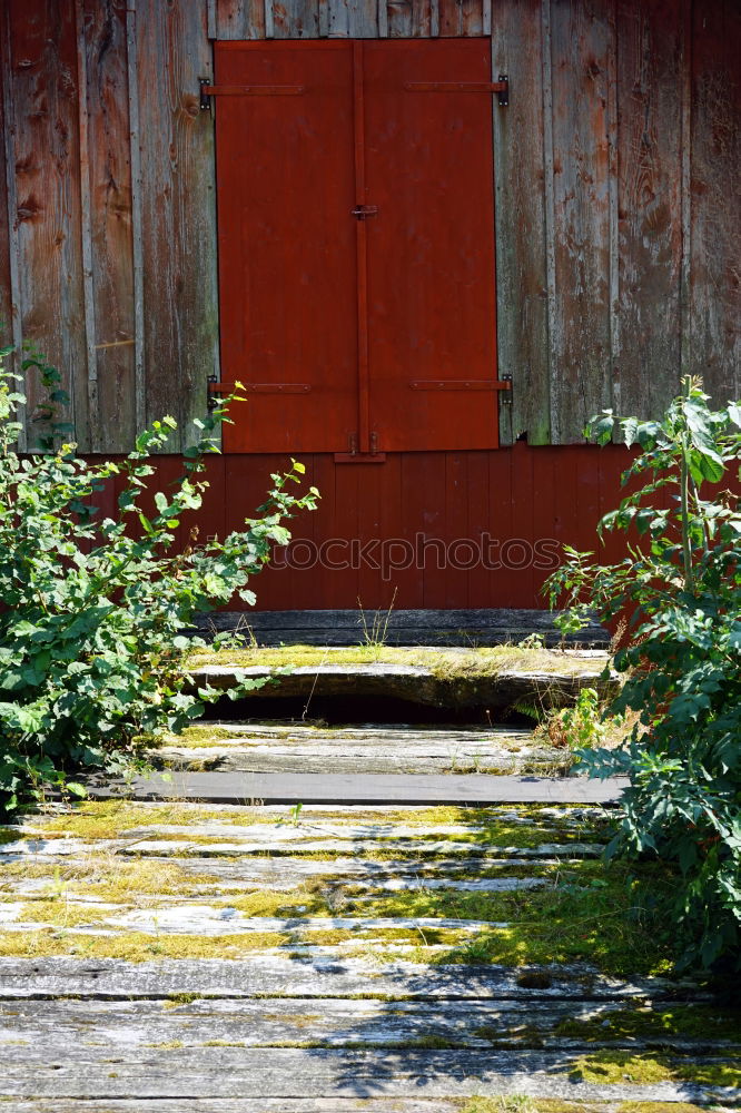 Similar – Image, Stock Photo shack Nature Plant Flower