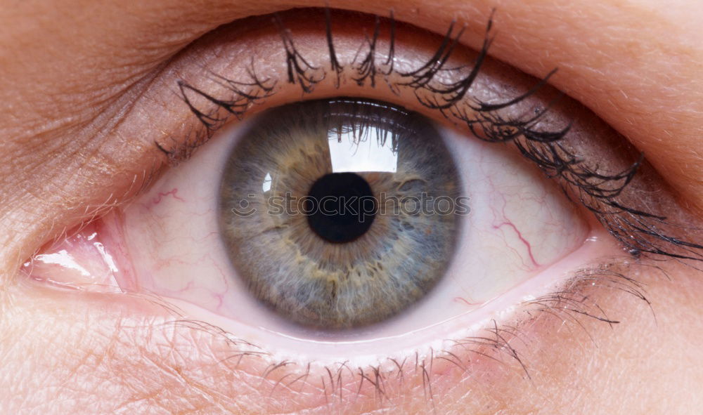 Similar – eye 04 Pupil Eyelash