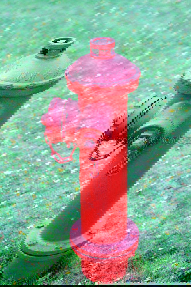Similar – Image, Stock Photo The burning red Town