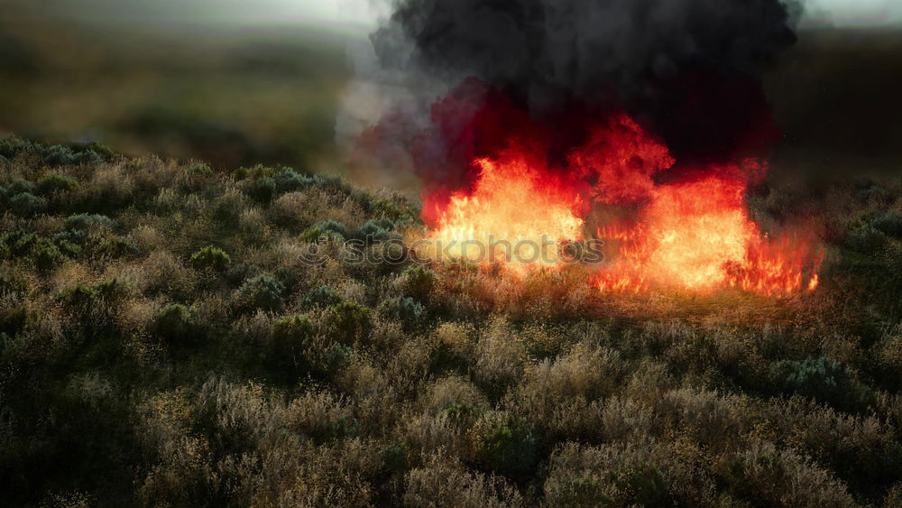 Deichbrand #3 Feuerwehr