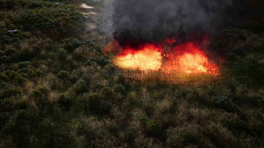 Similar – Foto Bild Tropfen auf den heißen Stein