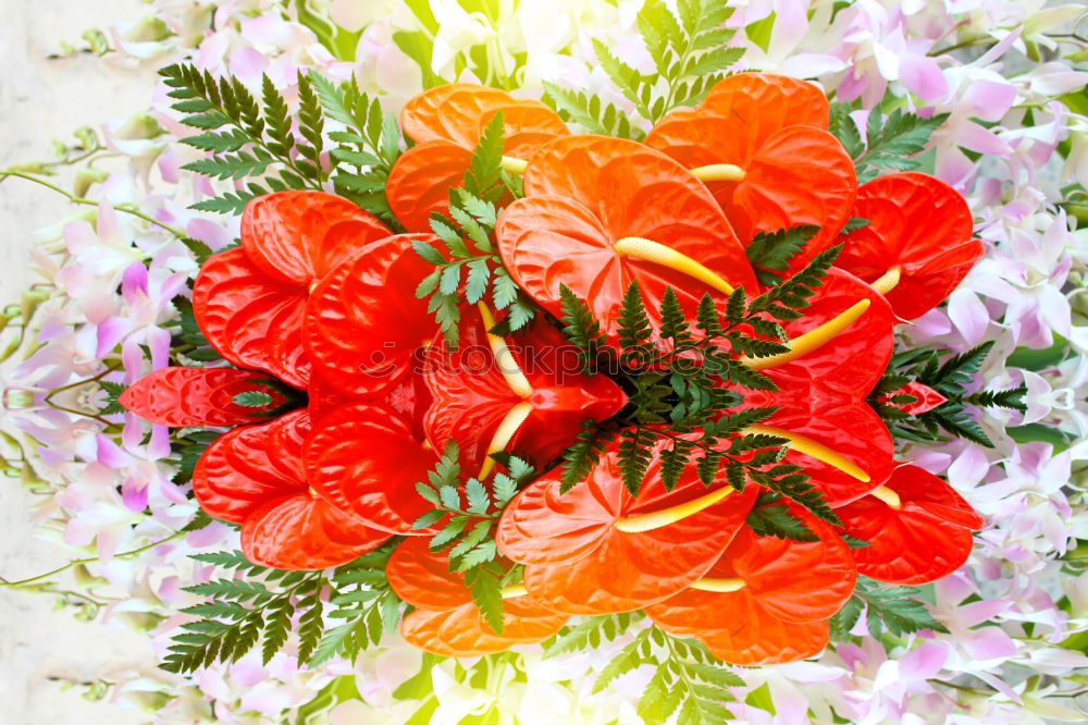 Similar – Image, Stock Photo Colourful flowers Plant